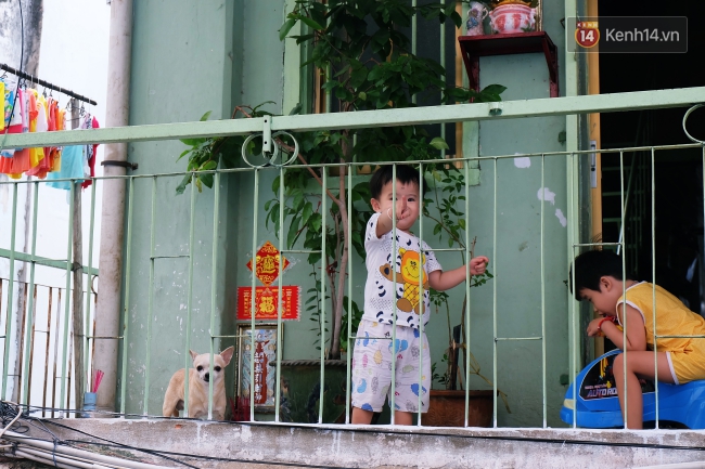 Tranh cãi vấn đề cấm nuôi chó, mèo trong chung cư ở Sài Gòn: Vẫn chưa đến hồi kết! - Ảnh 1.