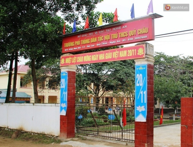 Thêm 37 học sinh ở Nghệ An ngộ độc sau khi ăn hạt quả ngô đồng - Ảnh 1.