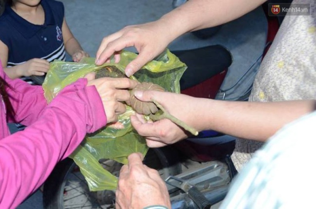 Nghệ An: Tưởng quả ng&ocirc; đồng l&agrave; quả &oacute;c ch&oacute;, 50 học sinh bị ngộ độc - Ảnh 2.