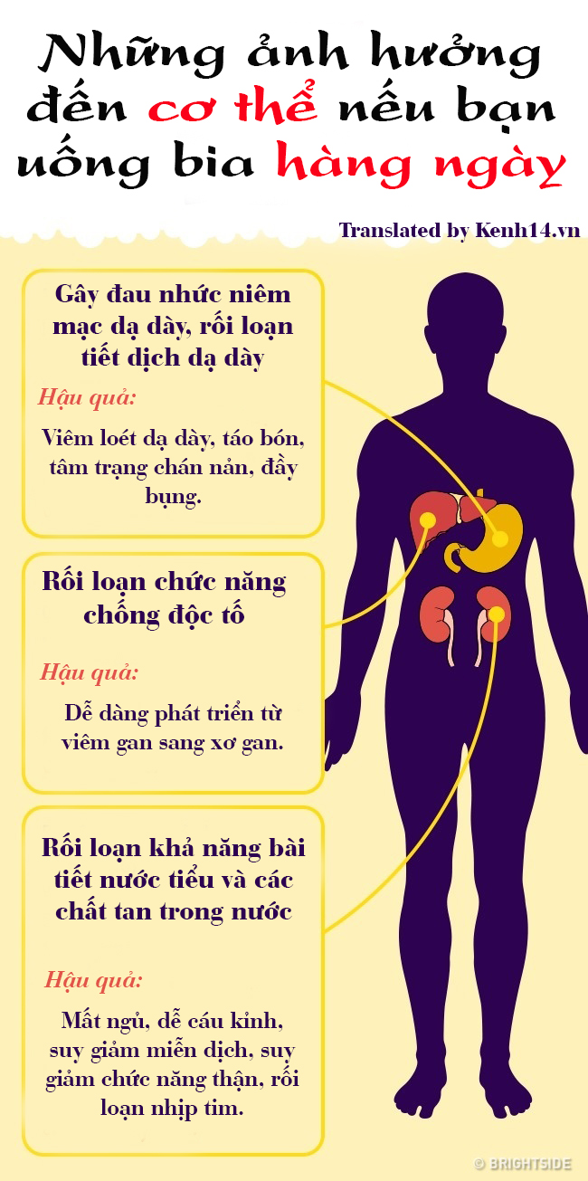 Cơ thể khóc thét ra sao nếu bạn uống quá nhiều bia mỗi ngày? - Ảnh 1.