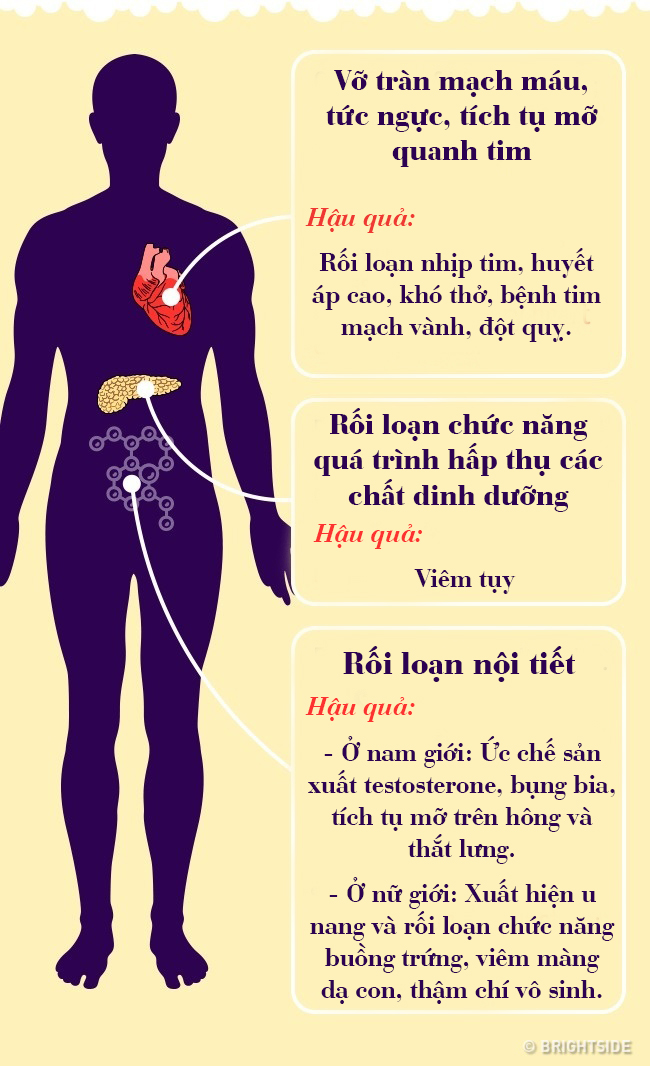 Cơ thể khóc thét ra sao nếu bạn uống quá nhiều bia mỗi ngày? - Ảnh 2.