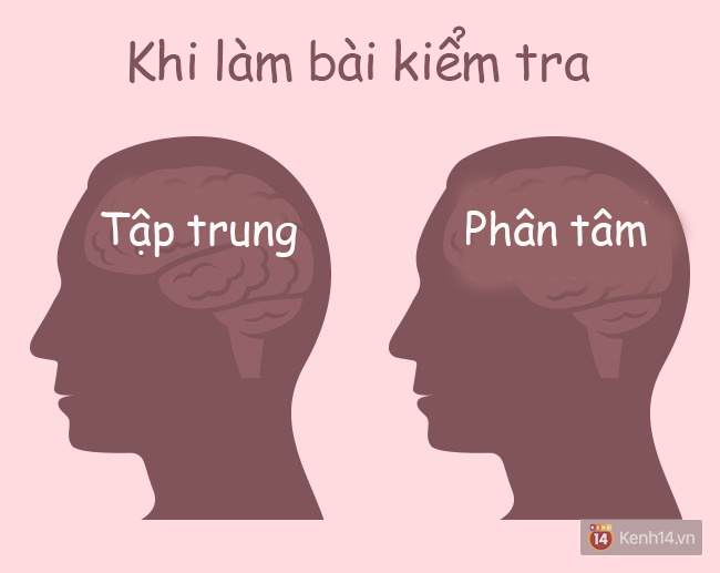 Hóa ra hoạt động thường ngày cũng khiến não bộ phình ra xẹp nhỏ lại như thế này! - Ảnh 3.