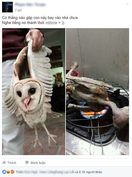 Thanh niên bắt được chim cú mèo, làm lông nướng ăn rồi chụp ảnh đăng lên mạng - Ảnh 1.