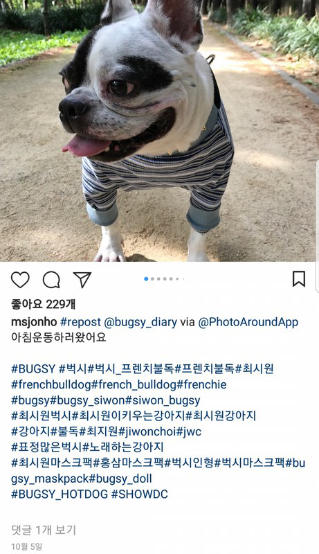 Netizen phẫn nộ v&igrave; gia đ&igrave;nh Siwon tiếp tục thả ch&oacute;, tổ chức sinh nhật cho th&uacute; cưng sau sự cố cắn CEO  - Ảnh 3.