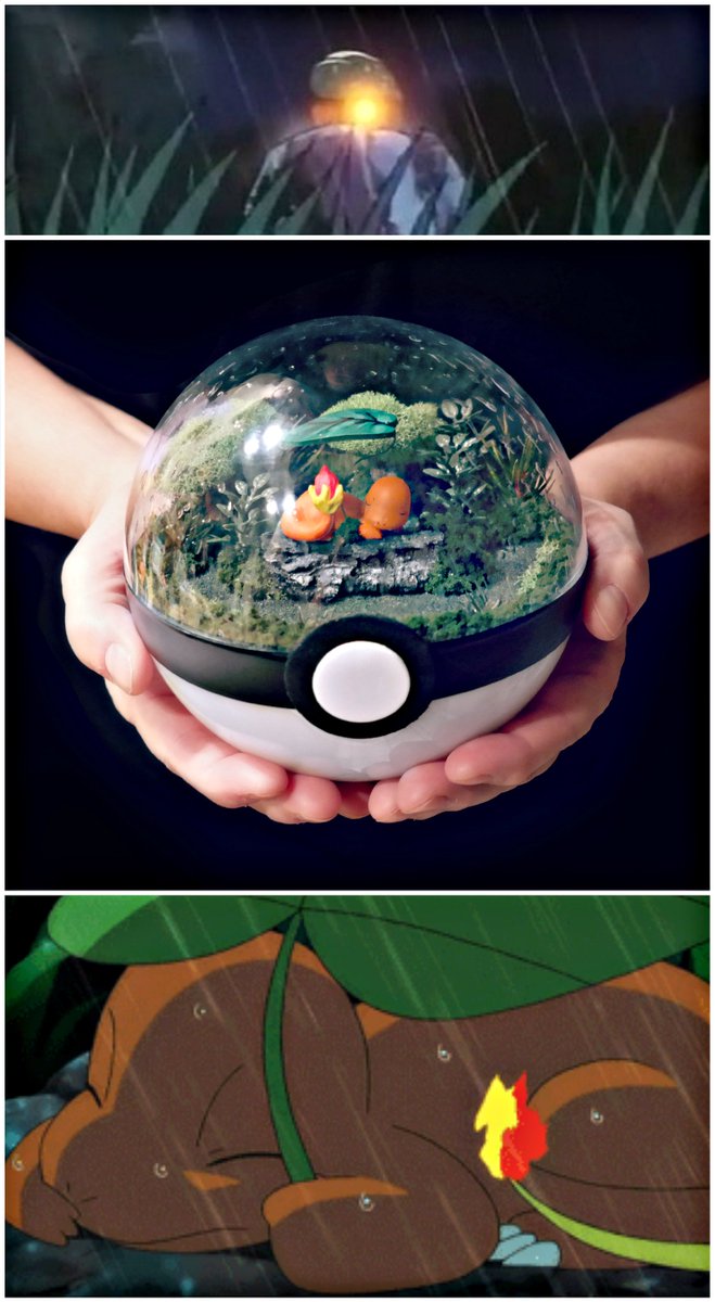 Những khu vườn Pokeball nhỏ xinh trong lòng bàn tay khiến fan hâm mộ Pokemon phát cuồng - Ảnh 13.