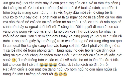 Tôm cảnh của chồng nuôi trong bể thủy sinh ăn hết cá, vợ tức giận dọa chờ lớn sẽ đem đi để đấu bột cho con - Ảnh 1.