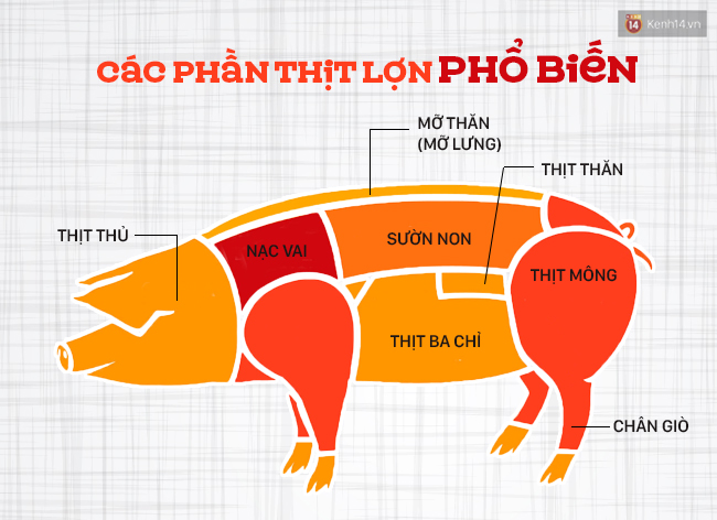 Ngày nào cũng ăn thịt lợn thì phải biết chọn đúng phần thịt cho từng món - Ảnh 1.