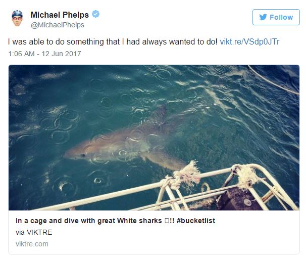 Kình ngư Michael Phelps bơi thi với cá mập trắng - Ảnh 1.