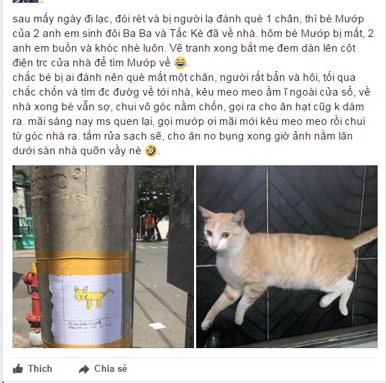 Cư dân mạng mừng rỡ vì chú mèo cưng được vẽ hình tìm kiếm hôm nào giờ đã trở về nhà an toàn - Ảnh 2.