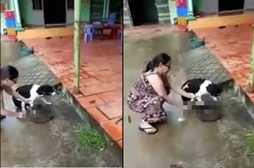 Phẫn nộ clip người phụ nữ thản nhi&ecirc;n chặt ch&acirc;n ch&uacute; ch&oacute; c&ograve;n sống ngay trước hi&ecirc;n nh&agrave; - Ảnh 2.