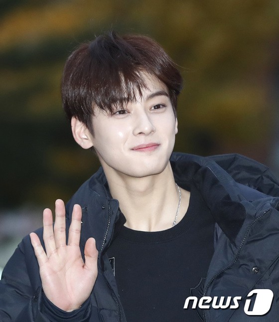 chaeunwoo1-1510932091805.jpg