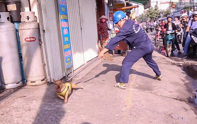 Clip: Tiếp tục ra quân bắt chó thả rông ở Sài Gòn, nhiều chó nhà bị Đội săn bắt “tóm” khiến chủ ngơ ngác - Ảnh 5.
