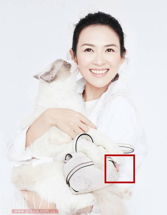 Ngón tay lạ xuất hiện trong bức ảnh của Chương Tử Di - Ảnh 1.