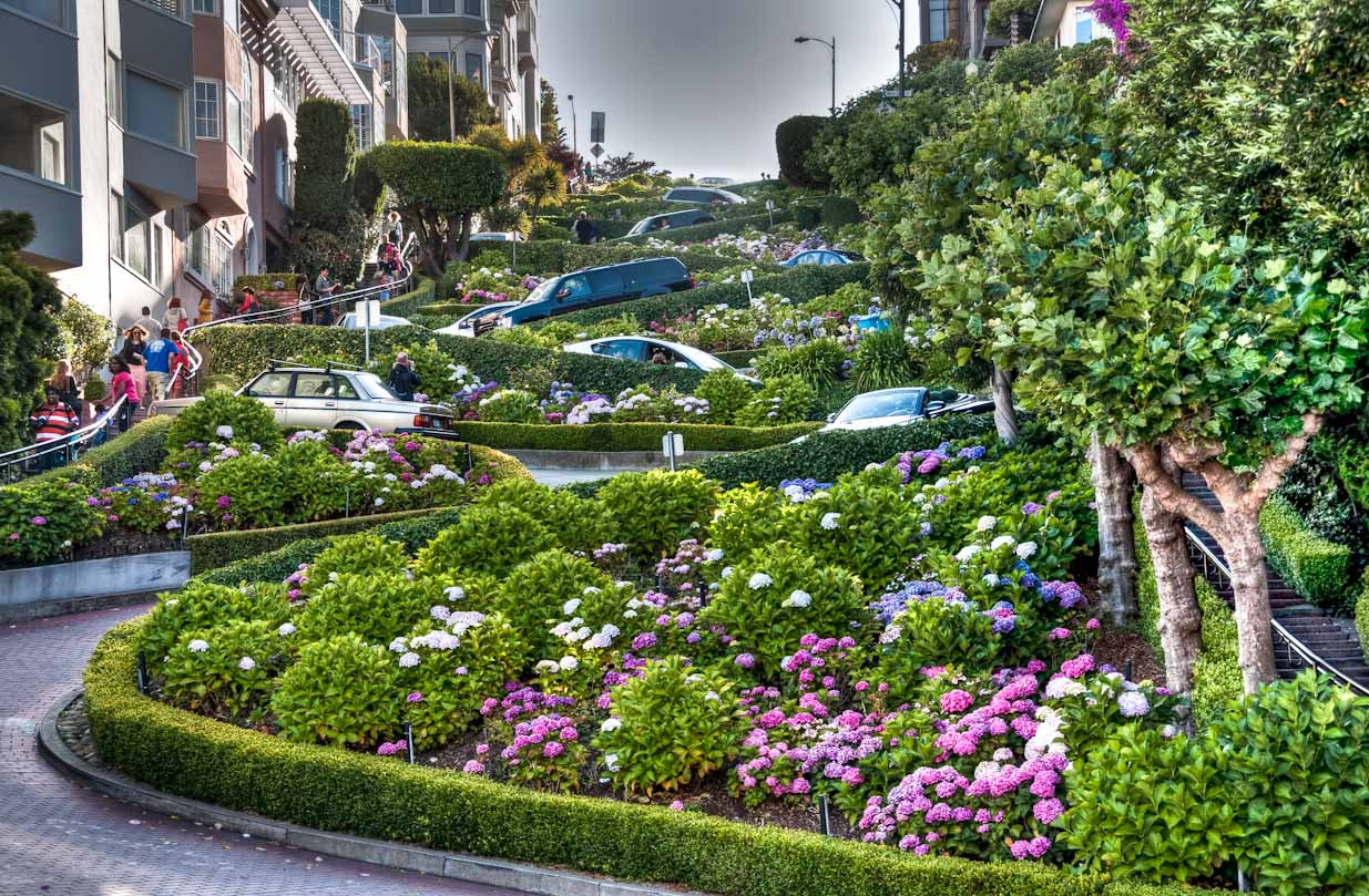 Kết quả hình ảnh cho hình ảnh đường hoa Lombard