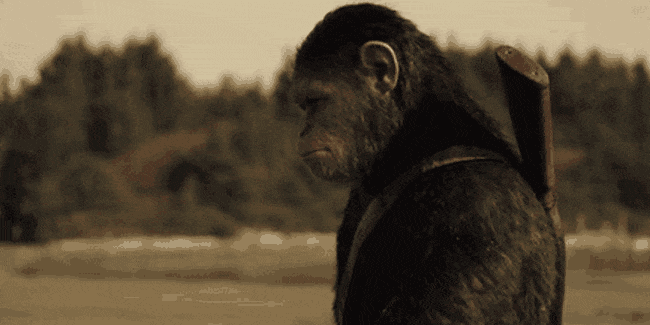 Tại sao “Planet of the Apes” lại là hình tượng mẫu mực của loạt phim bom tấn hiện đại - Ảnh 3.