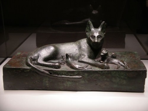 Người Ai Cập cổ từng mất cả đất nước vì... quá yêu mèo - Ảnh 2.
