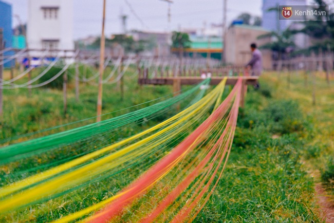 Chuyện những người miền Tây cuối cùng nán lại khu đất hoang Sài Gòn để chạy dây kiếm sống - Ảnh 1.