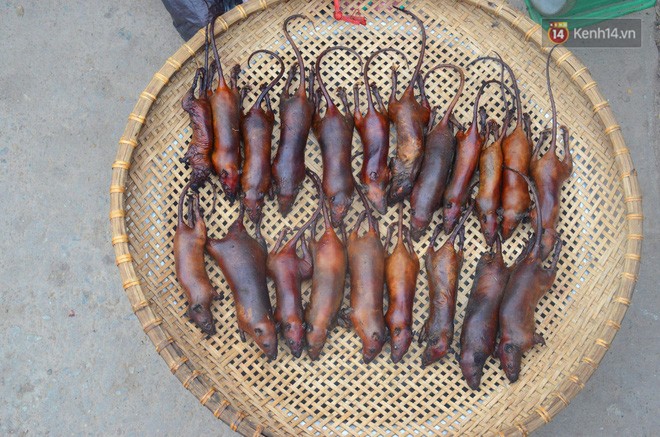 Ở Hà Nội có một ngôi làng mà phụ nữ và trẻ con mê thịt chuột hơn cả thịt lợn, thịt gà - Ảnh 16.