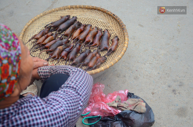 Ở Hà Nội có một ngôi làng mà phụ nữ và trẻ con mê thịt chuột hơn cả thịt lợn, thịt gà - Ảnh 8.