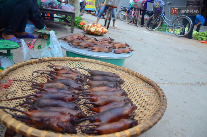 Ở Hà Nội có một ngôi làng mà phụ nữ và trẻ con mê thịt chuột hơn cả thịt lợn, thịt gà - Ảnh 11.