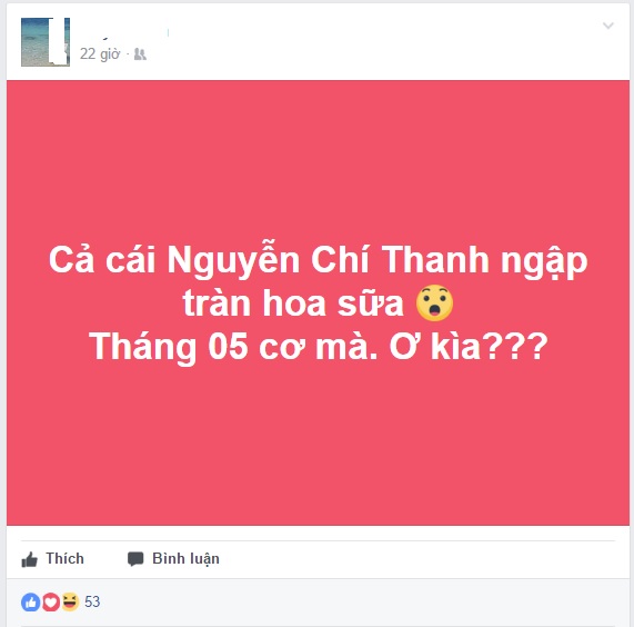 Mới đầu tháng 5, hoa sữa đã nở rộ khắp Hà Nội - Ảnh 5.