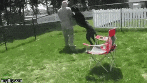 Shovel dog. Shovel humping.