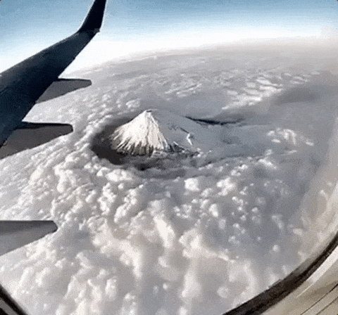 15 khoảnh khắc tự nhi&ecirc;n tuyệt đẹp khiến con người kh&ocirc;ng thể rời mắt - Ảnh 23.