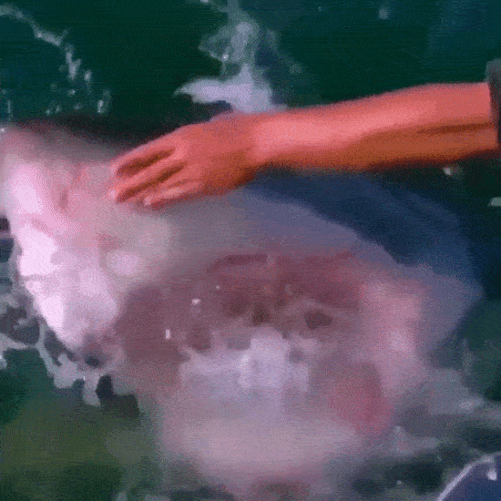 16 kẻ to gan d&aacute;m đ&ugrave;a giỡn với Thần Chết - Ảnh 13.