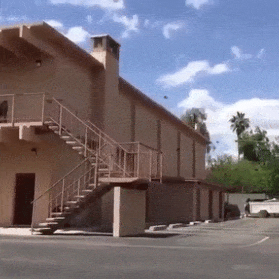 16 kẻ to gan d&aacute;m đ&ugrave;a giỡn với Thần Chết - Ảnh 27.