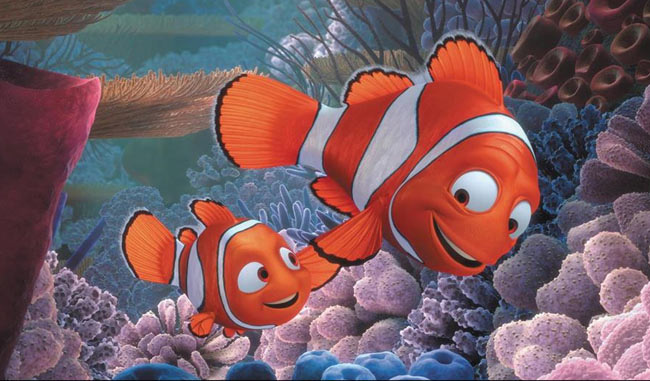 Sự thật về Finding Nemo: Cá bố Marlin sẽ chuyển giới ngay sau khi cá mẹ qua đời - Ảnh 2.