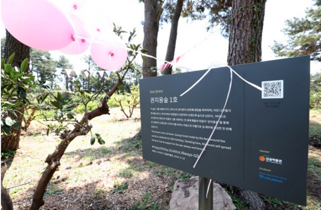 G-Dragon được lấy t&ecirc;n đặt cho cả một c&aacute;nh rừng tr&ecirc;n đảo Jeju - Ảnh 5.