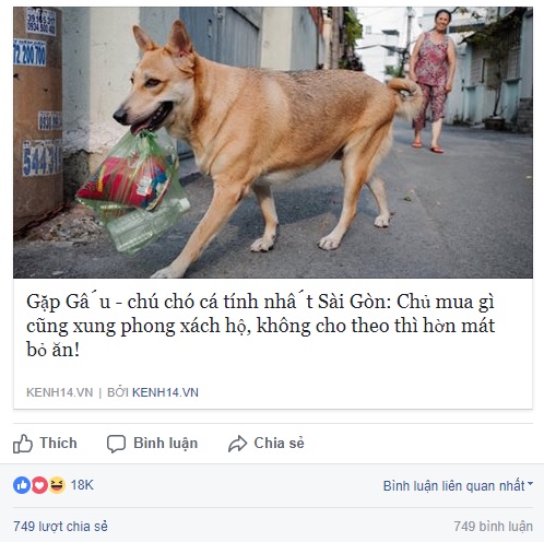 Cư d&acirc;n mạng ph&aacute;t cuồng với Gấu - ch&uacute; ch&oacute; c&aacute; t&iacute;nh nhất S&agrave;i G&ograve;n khi lu&ocirc;n xung phong x&aacute;ch đồ hộ chủ nếu kh&ocirc;ng sẽ giận dỗi bỏ ăn - Ảnh 5.