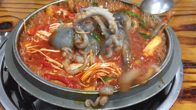 Lẩu bạch tuộc ngoe nguẩy ở Hàn Quốc: Một lần nếm thử sẽ không bao giờ dám quên - Ảnh 2.