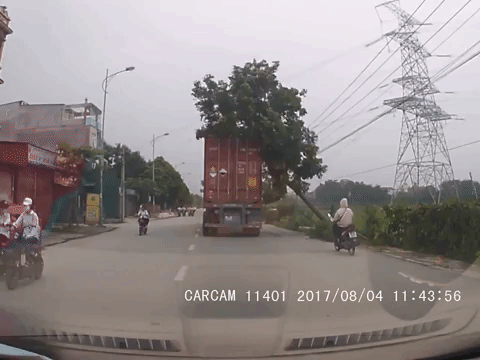 Clip: Container đâm trúng cành cây, rơi đè vào cô gái đi xe máy phía sau - Ảnh 3.