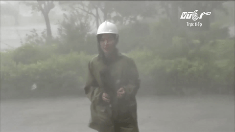 Clip: Nữ phóng viên suýt bị gió tạt ngã, giọng run đi vì mưa lớn khi đang truyền hình trực tiếp từ tâm bão Quảng Bình - Ảnh 2.