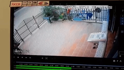 Clip: Xe công nông tự chế mất lái tông sập cổng lao thẳng vào nhà dân - Ảnh 2.