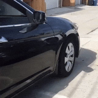 16 m&agrave;n tr&igrave;nh diễn nhảy nh&oacute;t như phim chưởng của hội nh&agrave; ch&oacute; - Ảnh 19.