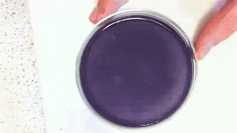 14 phản ứng th&uacute; vị khiến hội y&ecirc;u khoa học m&ecirc; t&iacute;t - Ảnh 9.