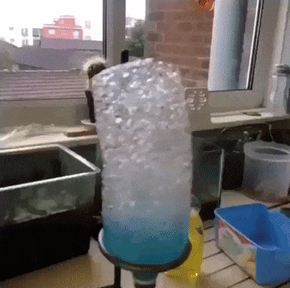 14 phản ứng th&uacute; vị khiến hội y&ecirc;u khoa học m&ecirc; t&iacute;t - Ảnh 17.