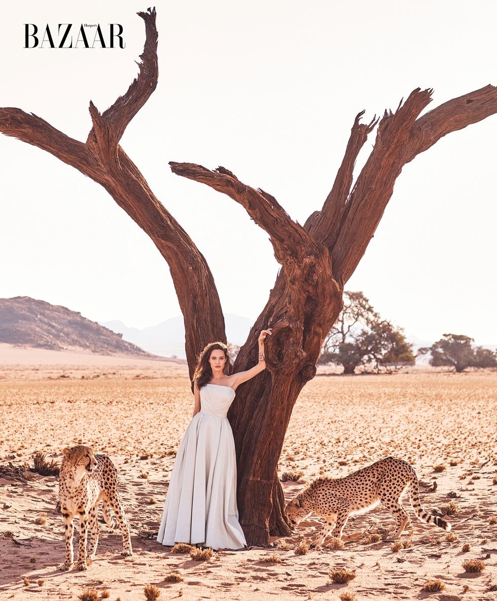 Angelina Jolie chứng minh đẳng cấp 