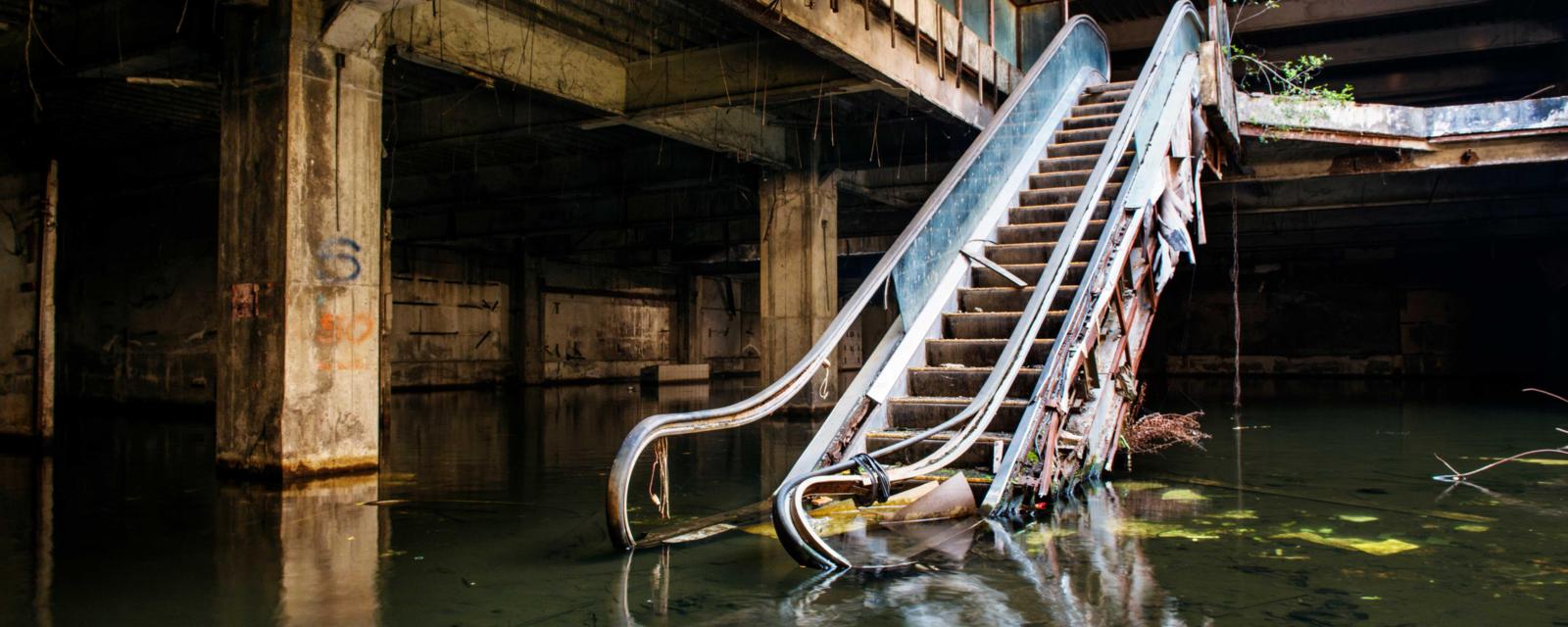 Hậu Tận thế, con người sẽ phải làm gì để xây dựng lại thế giới? - Ảnh 6. Hậu Tận thế, con người sẽ phải làm gì để xây dựng lại thế giới? - Ảnh 6.