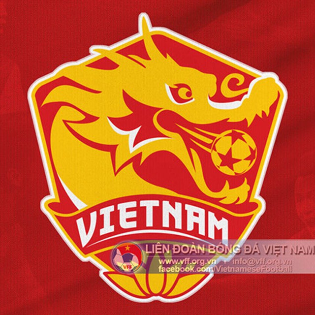 Huy hiệu không thay quốc kỳ trên áo đấu tuyển Việt Nam - Ảnh 2.