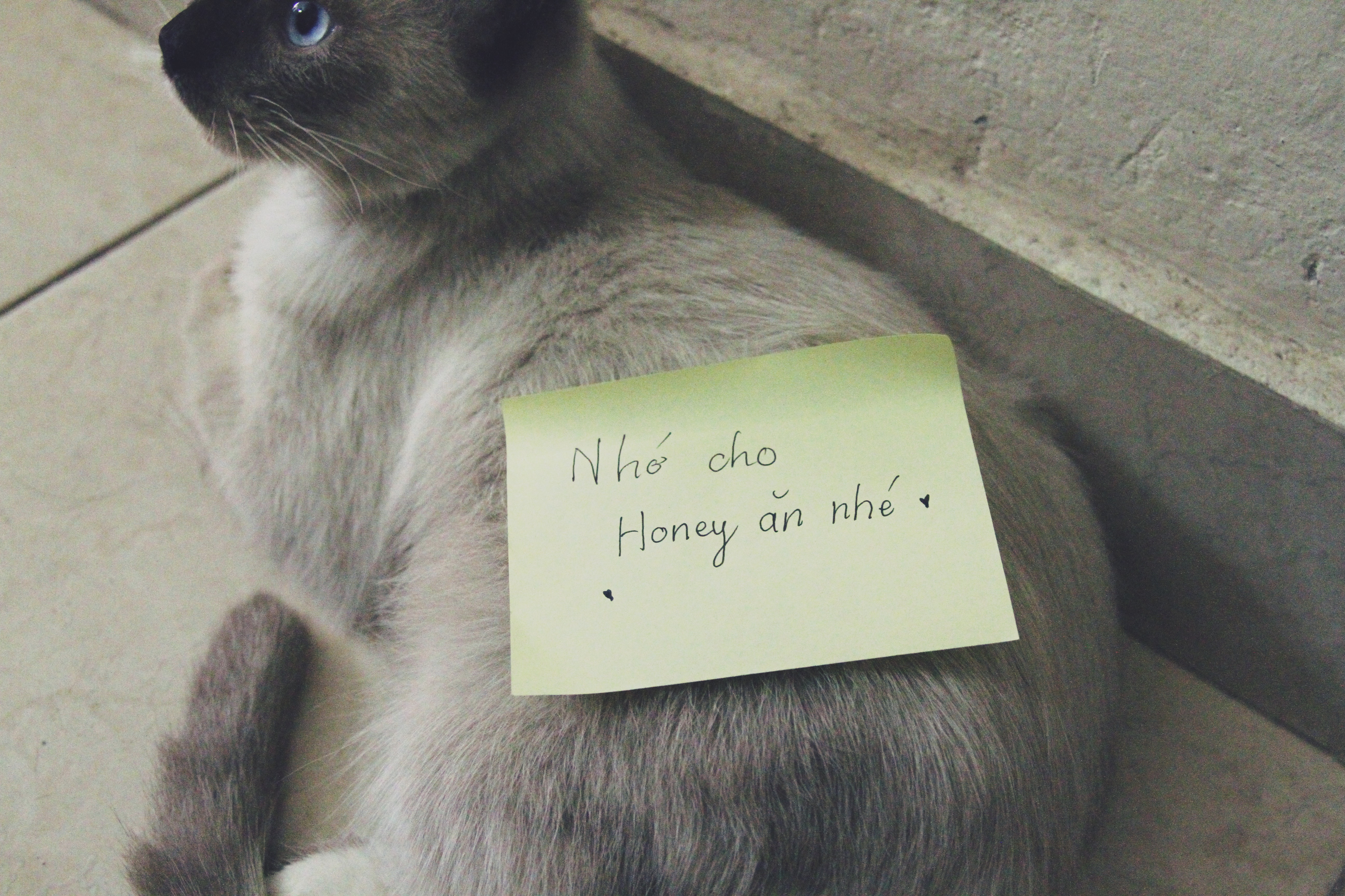 Bộ ảnh khó đỡ về nội quy phòng trọ sinh viên: Đã quyết định sống cùng nhau thì cần gọn gàng, ngăn nắp! - Ảnh 10. Bộ ảnh khó đỡ về nội quy phòng trọ sinh viên: Đã quyết định sống cùng nhau thì cần gọn gàng, ngăn nắp! - Ảnh 10.