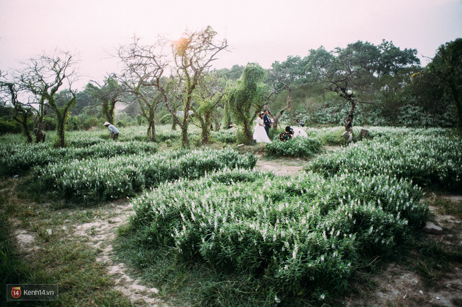 Cần gì đi đâu xa, Hà Nội có 2 khu vườn xinh xắn “đẹp như truyện cổ tích” như này cơ mà! - Ảnh 17.