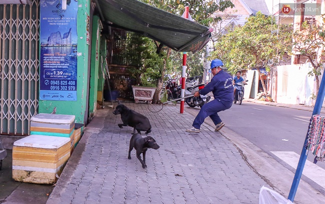 Clip: Tiếp tục ra quân bắt chó thả rông ở Sài Gòn, nhiều chó nhà bị Đội săn bắt “tóm” khiến chủ ngơ ngác - Ảnh 15.