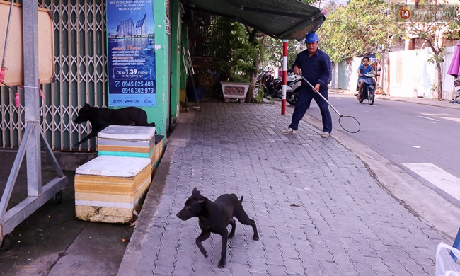 Clip: Tiếp tục ra quân bắt chó thả rông ở Sài Gòn, nhiều chó nhà bị Đội săn bắt “tóm” khiến chủ ngơ ngác - Ảnh 16.