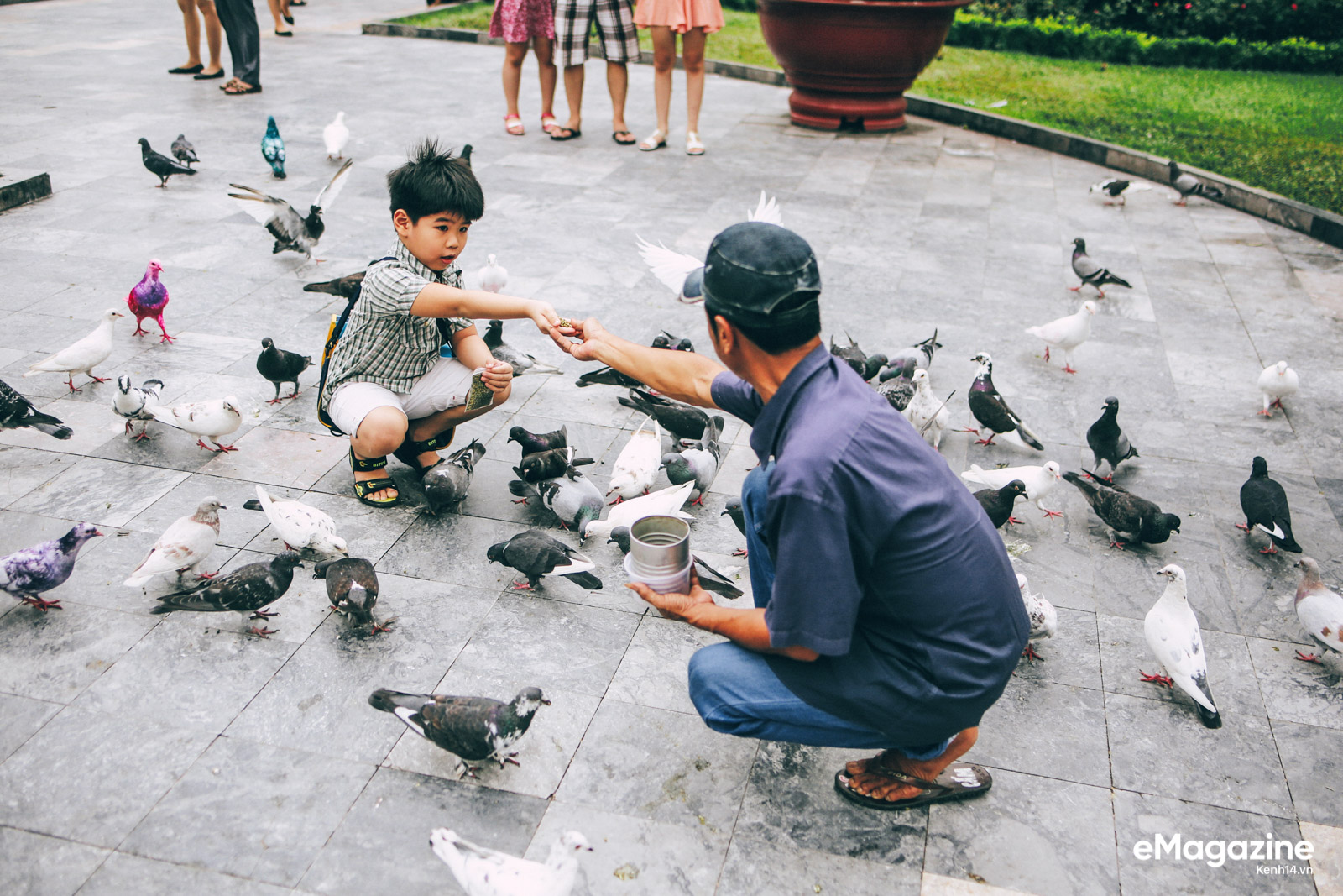 Những người Sài Gòn khùng nuôi chim trời thú hoang - Ảnh 16.