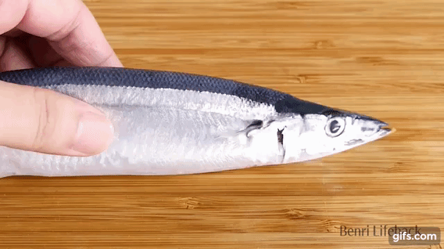 Học người Nhật cách làm cá vừa sạch sẽ lại vừa nhanh bất ngờ - Ảnh 1.