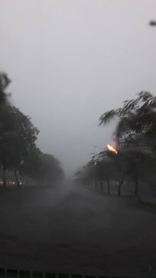 Sài Gòn đang mưa lớn trong ngày mùng 6 Tết - Ảnh 2.