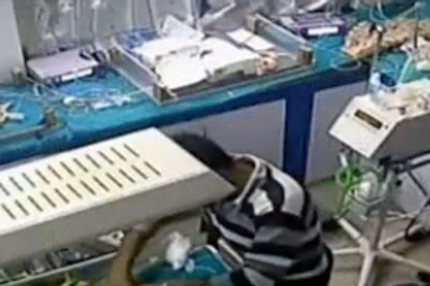 Video: Bé trai sơ sinh bị nhân viên y tế cố tình bẻ gãy chân trong phòng chăm sóc đặc biệt vì quấy khóc - Ảnh 2.